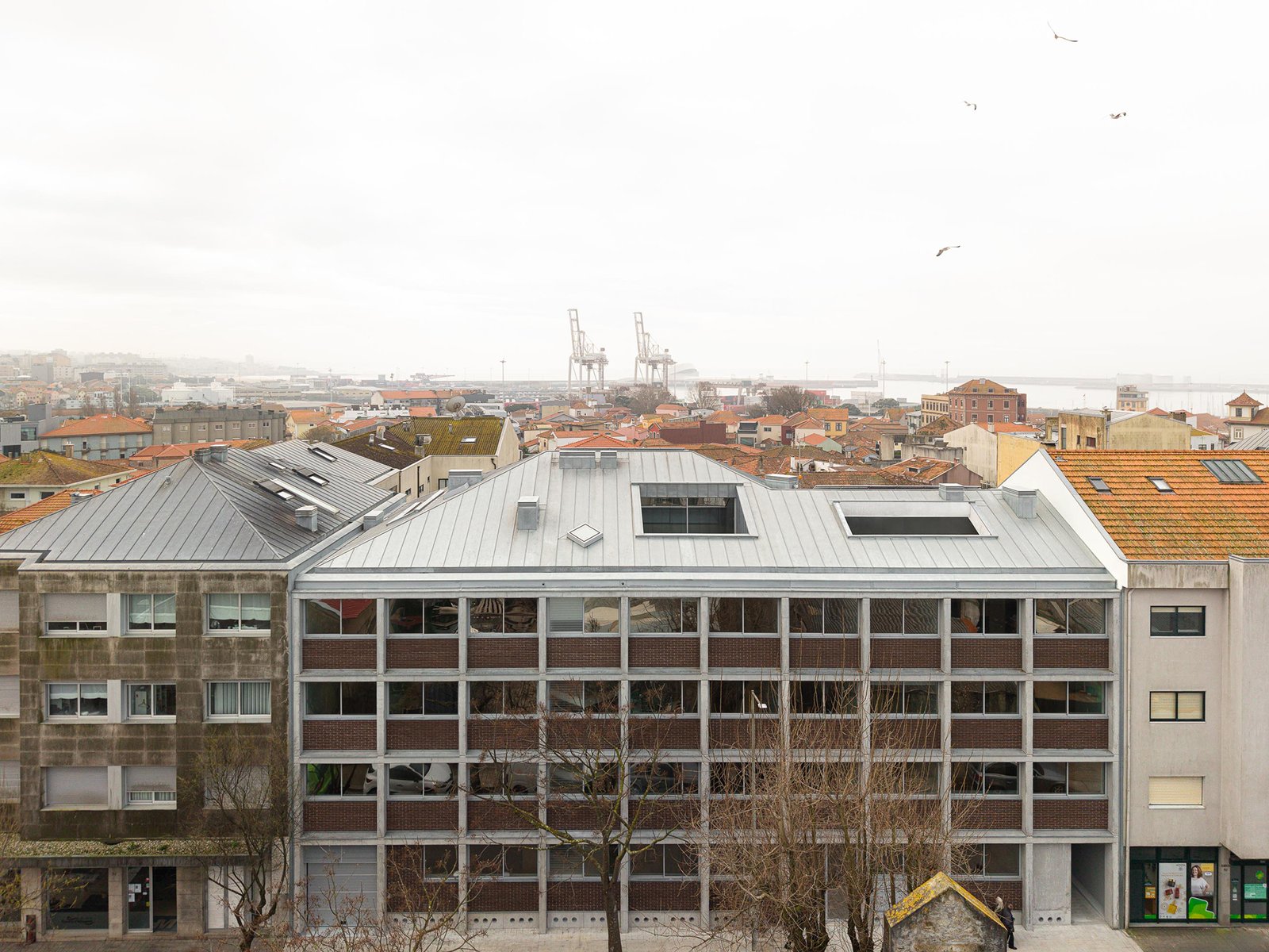 Hintze Ribeiro Residential Building