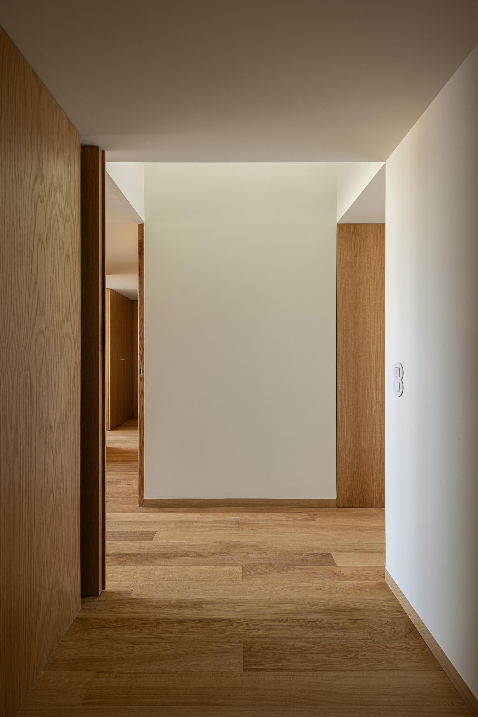 Hintze Ribeiro Residential Building