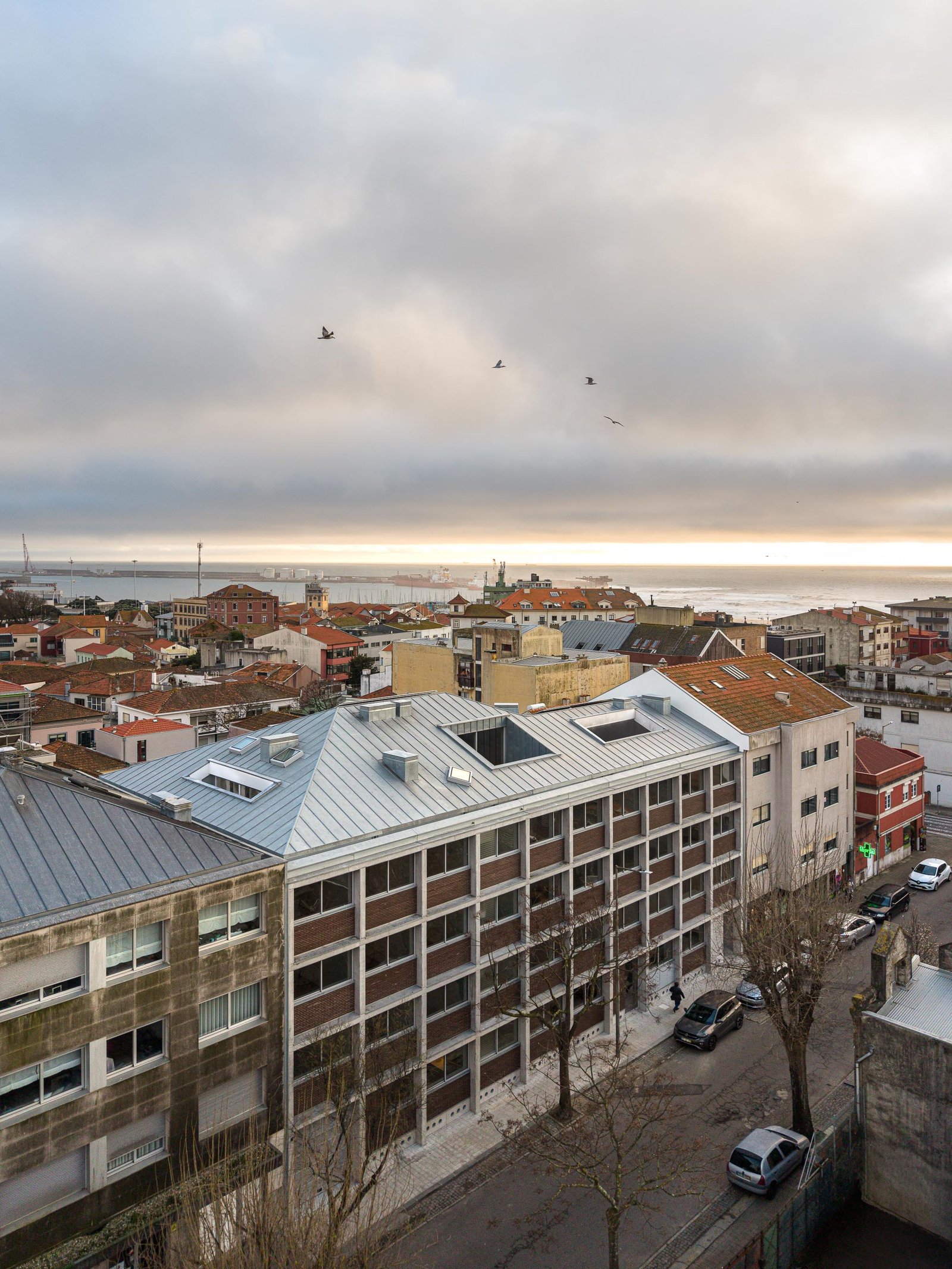 Hintze Ribeiro Residential Building