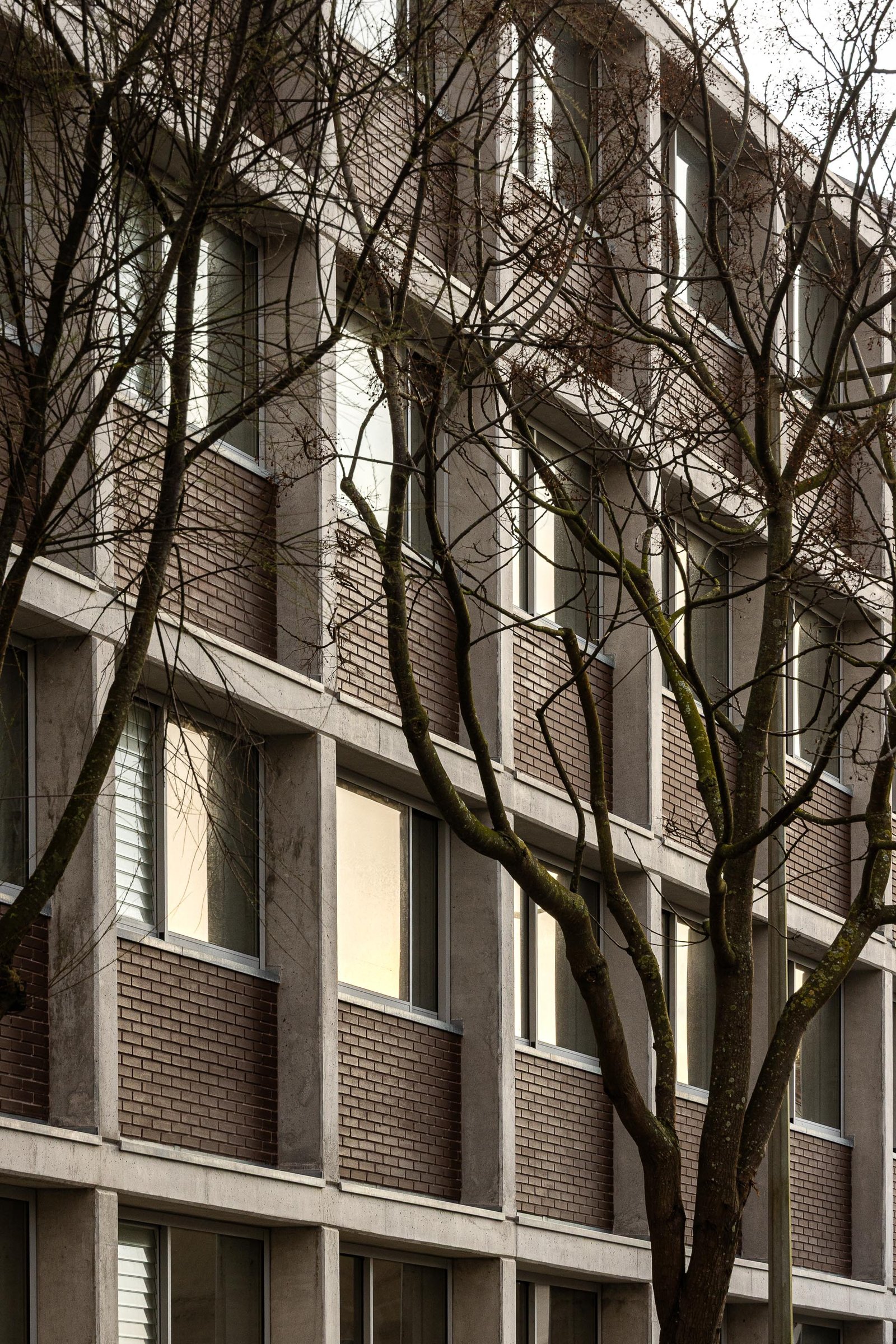 Hintze Ribeiro Residential Building